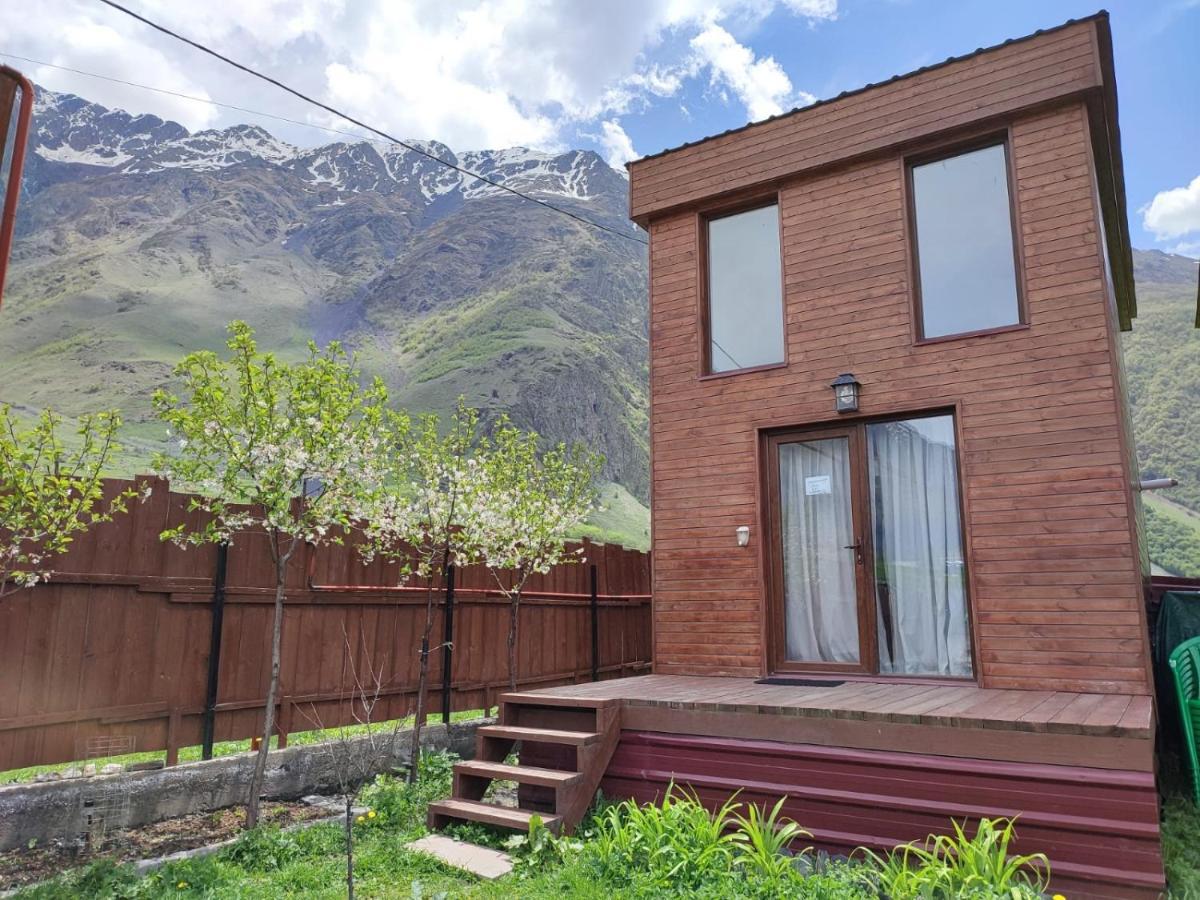 Apartamento T&M Timeless Memories Kazbegi Exterior foto